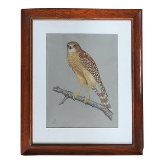 Late 20th Century Porter Family Hawk Pastel Drawing For Sale