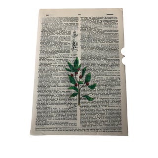"Inkberry" Contemporary Original Colored Pencil Drawing on Vintage Dictionary Page For Sale
