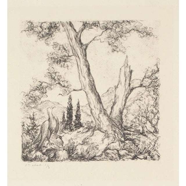 Eagle and Tree - Original Etching - 1960s 1960s For Sale