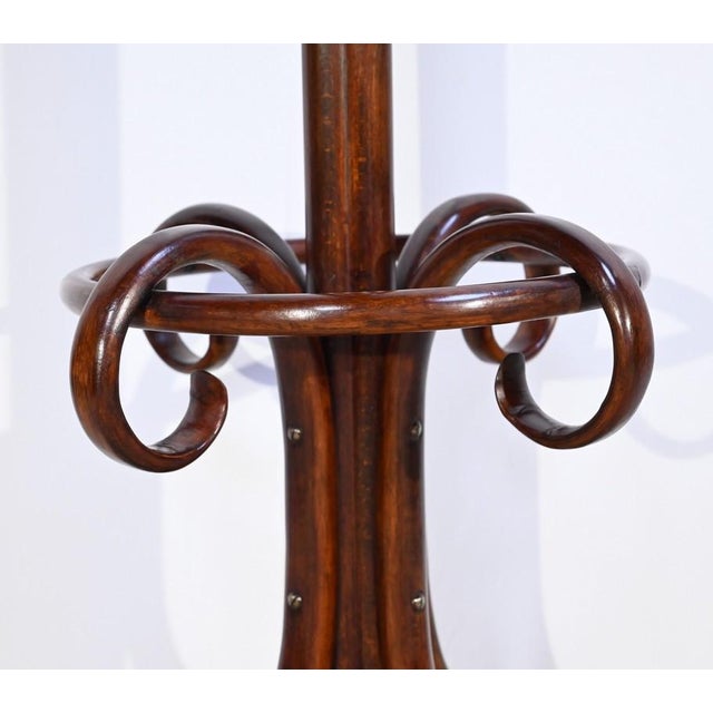 Model Parrot N ° 10.401 Coat Rack in Beech from Thonet, 1920s For Sale - Image 12 of 18