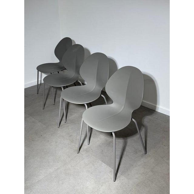 Basil Dining Chairs from Calligaris, Set of 4 For Sale - Image 6 of 6