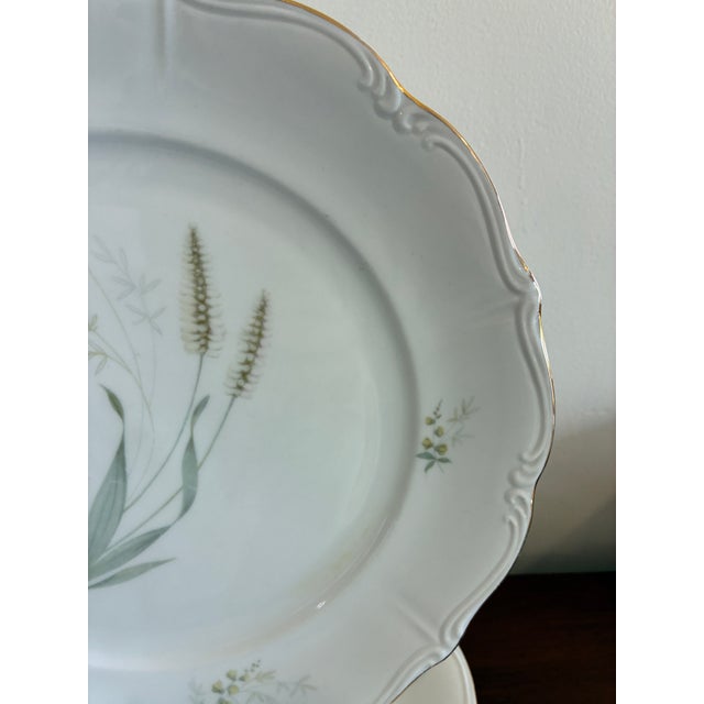 Mid 20th Century Vintage Forest Bavaria Dinner Plates With Gold Rim - Set of 8 For Sale - Image 5 of 12