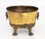 Victorian Lion's Mask Handle Brass Jardiniere For Sale In New York - Image 6 of 8