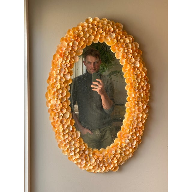Nautical Antique Oval Wall Mirror With a Handmade Shell Frame For Sale - Image 3 of 9