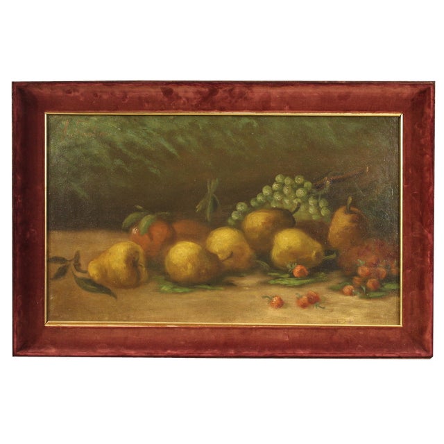 Italian Artist, Still Life with Fruit, 1950, Oil on Canvas For Sale