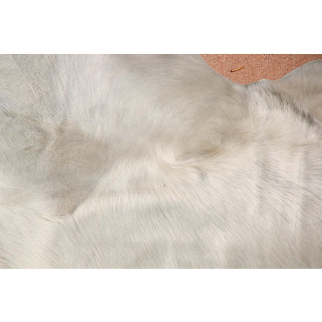 Hand-Crafted White Cowhide Rug from Argentina, Folk Art Style, 1980 For Sale - Image 17 of 18