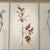 Mid 19th Century Large 19th Century French Mounted Botanical Herbiers For Sale - Image 5 of 16