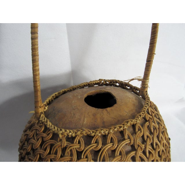 Early 20th Century Javanese Woven Gourd Basket + Wood Frog Stopped For Sale In New Orleans - Image 6 of 12