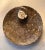 Stone Orthoceras Fossil Round Plate With Ammonite Ring For Sale - Image 7 of 11