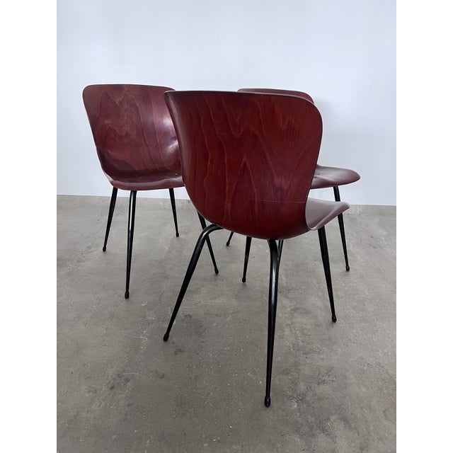 Chairs from Pagholz, 1950s, Set of 3, in Very Good conditions. Designed 1950 to 1959 I have official proof of authenticity...