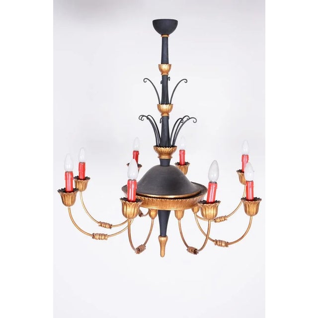 Empire Chandelier in Carved Pear, Steel & Gold Leaves, Austria, 1800s For Sale - Image 9 of 13