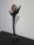 Heidi Hornberger "Integration" Bronze on Marble Sculpture For Sale - Image 14 of 14