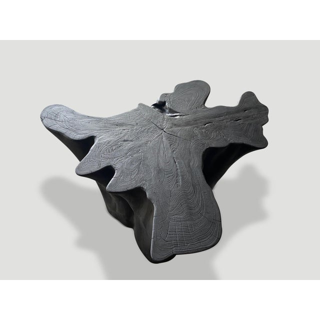 Andrianna Shamaris Sculptural Charred Teak Wood Coffee Table For Sale - Image 17 of 18