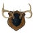 Black Forest Antique Deer Antlers Trophy With Board For Sale