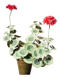 Example of Traditional Decorative Objects