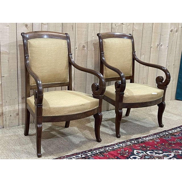 Set of Armchairs in Mahogany For Sale - Image 13 of 15