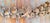 18th Century 17th or 18th C. Carved Wood Decorative Swag in Baroque Style, Continental European For Sale - Image 5 of 18