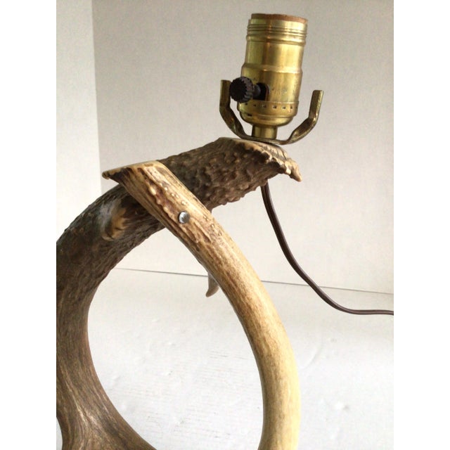 1950s Antler Table Lamp For Sale In New York - Image 6 of 8