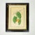 19th Century Hand-Colored Lithograph of a Black Pepper Plant by Nathaniel Wallich For Sale In New York - Image 6 of 6