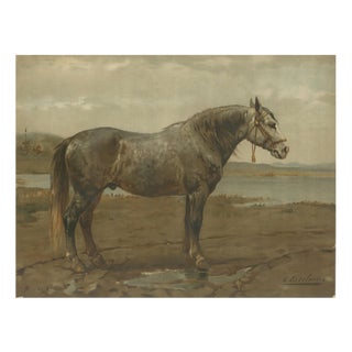 After Otto Eerelman, Russian Draft Horse, 1898, Lithograph on Paper For Sale