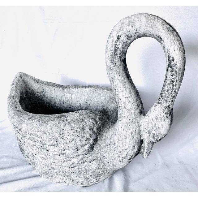 Early 1900s Antique French Concrete Swan Planter For Sale In Dallas - Image 6 of 17