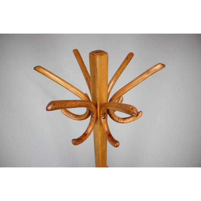Vintage Bentwood Coat Rack, Czechoslovakia, 1930s For Sale - Image 3 of 10