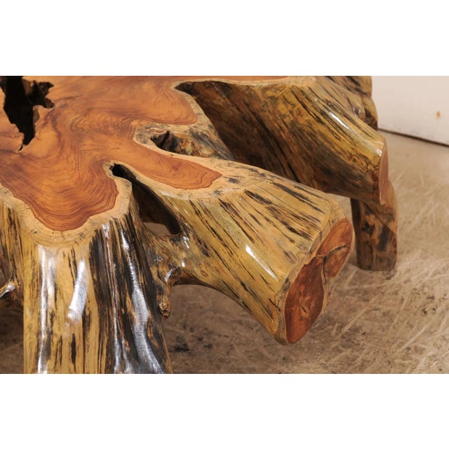 Mid 19th Century Organic Modern Tree Root Coffee Table For Sale - Image 11 of 12