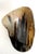 Organic Modern Steer Horn Bowl For Sale - Image 4 of 7