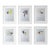 Set of 6 - Organic Modern Minimalist Flower Studies | Botanical Oil Paintings | Herbarium Wall Art | Natural Tones For Sale