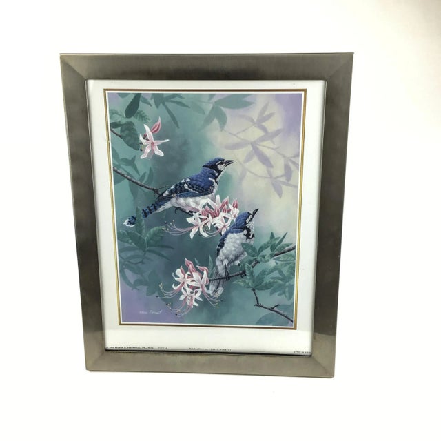 Reed & Barton Framed Blue Jay Litho Print by Chris Forrest For Sale - Image 12 of 12