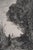 JB Camille COROT (after) Orpheus Engraving after a painting by Corot Copper setting by Delaunay On vellum 30 x 20.5 cm...