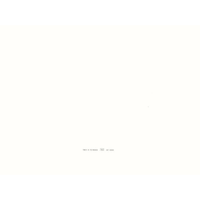1970s Josef Albers "Formulation : Articulation" Portfolio II Folder 11 For Sale - Image 10 of 10