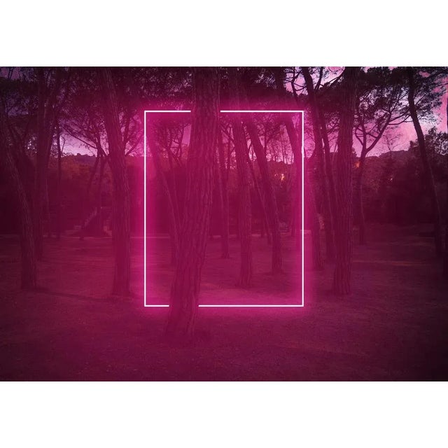 Artur Debat, Rectangle Red Light Neon Between Pine Trees, Photograph, in Flawless conditions. Designed from 2000 This...