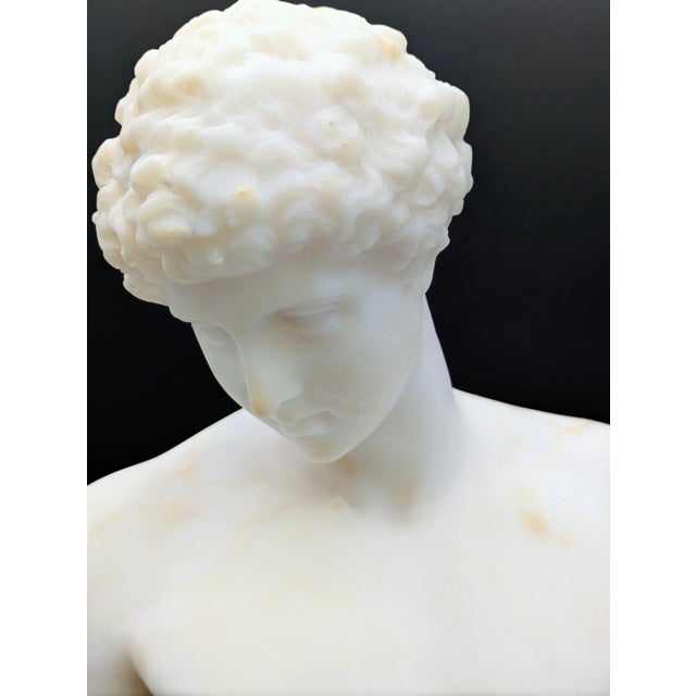 19th Century Grand Tour Alabaster Bust: Capitoline Antinous For Sale - Image 9 of 13