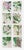 William Fitch, Botanical Prints Curtis. 1838, Paper For Sale - Image 10 of 10