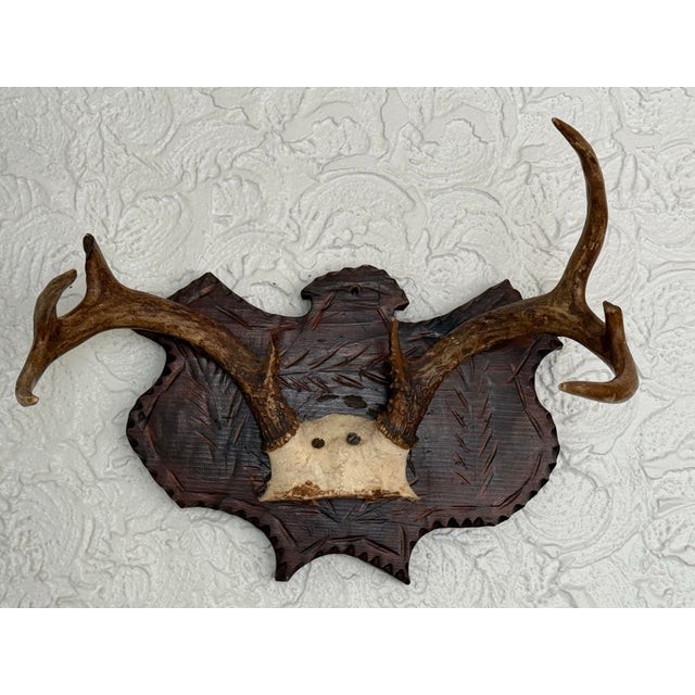 Rustic European Early 20th Century Black Forest Style Deer Antler Trophy on Carved Shield Plaque For Sale - Image 3 of 7