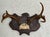 Rustic European Early 20th Century Black Forest Style Deer Antler Trophy on Carved Shield Plaque For Sale - Image 3 of 7