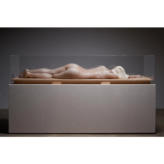 Nude Lady, 2000s, Wax Figure in Acrylic Glass For Sale - Image 3 of 9