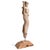 Vintage Indian Yali Carving, 1940s For Sale - Image 6 of 6
