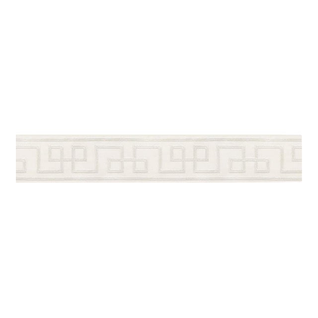 Sample - Schumacher X Mary Mcdonald Octavius Tape in Silver For Sale