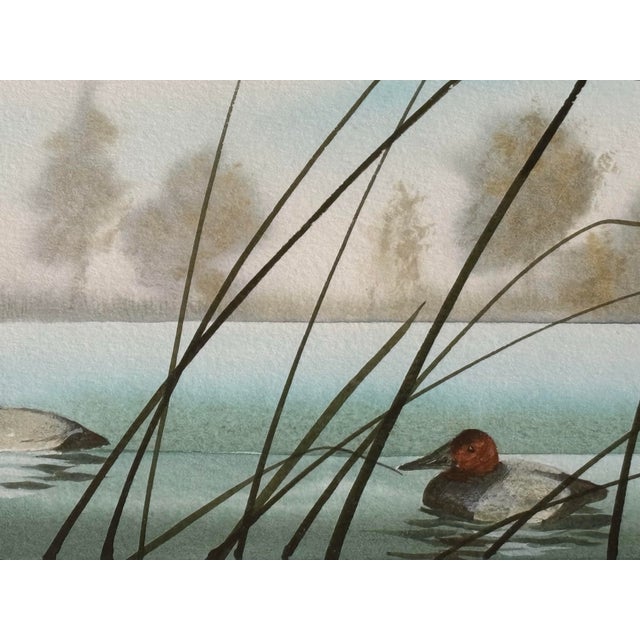 Brown Canvasback Duck Watercolor Landscape by American Artist Craig Peterson (1946-2024), Framed For Sale - Image 8 of 11