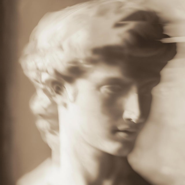Set of 18 Blurred Antique Profiles — Archival Prints of Restored Antique Photographs For Sale - Image 9 of 17