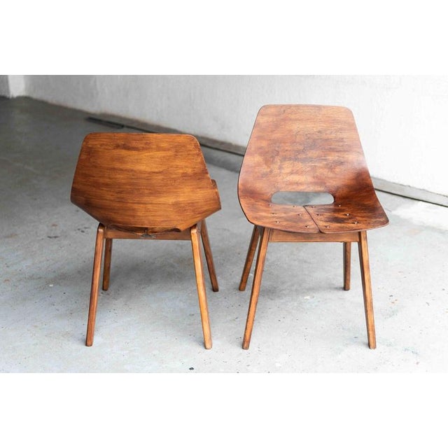 1950s Tonneau Dining Chairs by Pierre Guariche, Set of 6 For Sale - Image 5 of 18