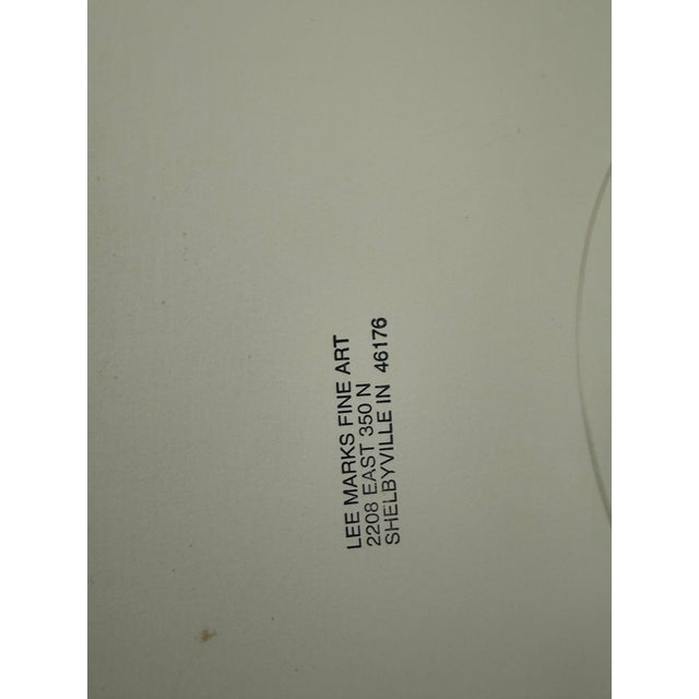 Jeffrey Becom Maya Color Pomegranate Ltd. Ed. Photograph, Signed For Sale - Image 10 of 12