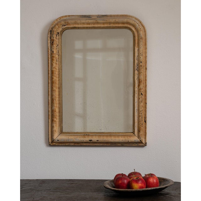 Wood 19th Century France Weathered Whitewash Cerused Oak Wall Mirror For Sale - Image 7 of 7