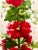 Framed Original Watercolor Tall Painting “Hollyhocks” Framed For Sale - Image 10 of 12