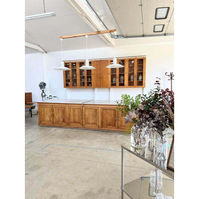 Pharmacy Wall Display Cabinet, 1950s For Sale - Image 12 of 13