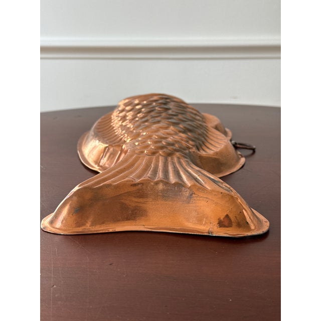 Italian Copper Fish Molds-- A Pair For Sale - Image 16 of 18
