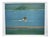 Gideon Appah, Swimmer, 2023, Print on Paper For Sale