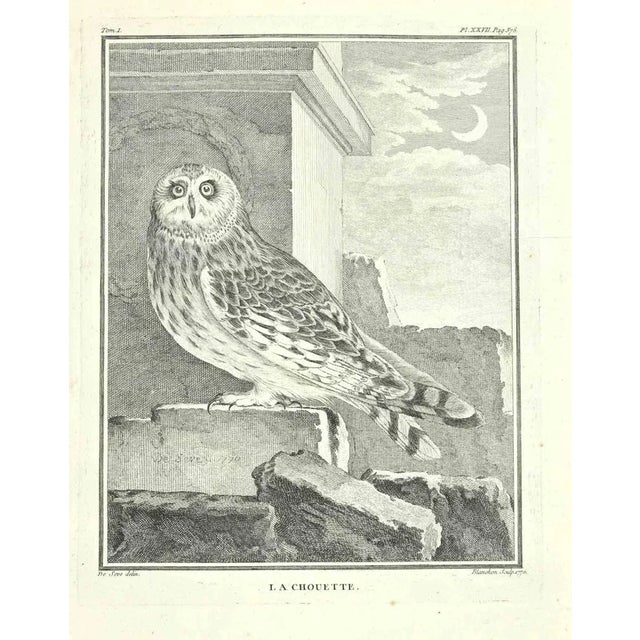 The owl is an etching realized by Jacques Blanchon in 1771. signed in flat. The Artwork Belongs to the Suite "Natural,...